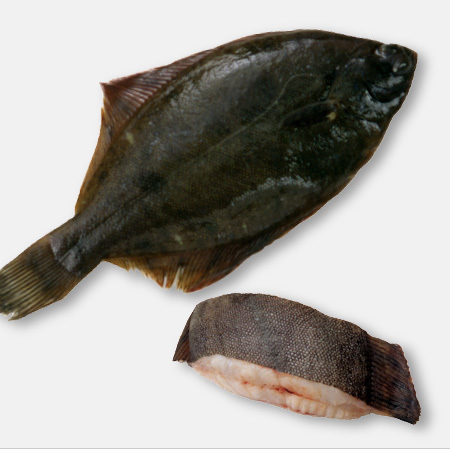 旬のきほん 魚